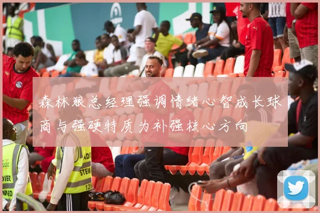 森林狼总经理强调情绪心智成长球商与强硬特质为补强核心方向