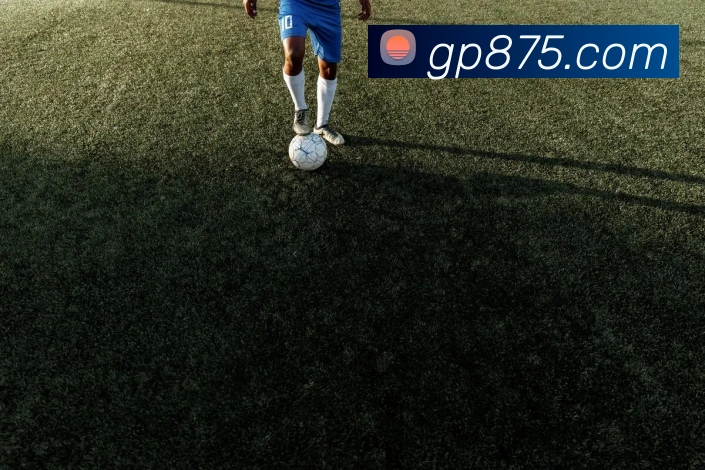 App Interface Preview
